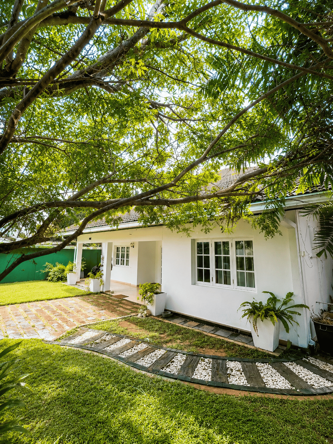Villa Serenita garden walkway beneath mature trees
