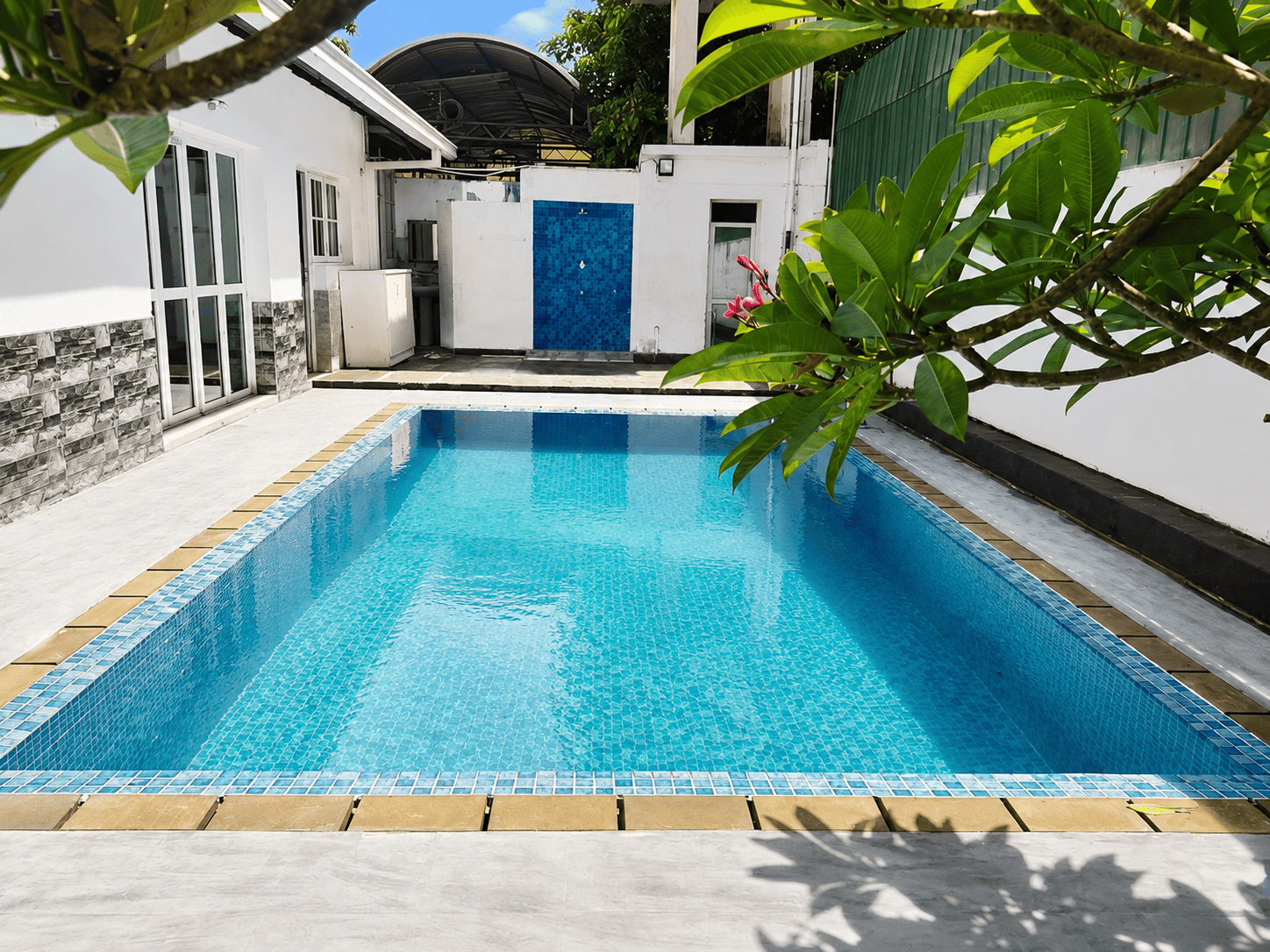 Private pool framed by tropical leaves