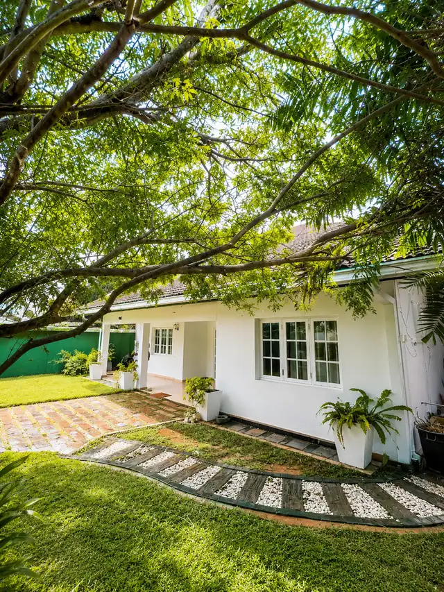 Villa Serenita garden walkway beneath mature trees